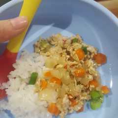 A picture of MPASI Udang 11 Bulan (CAPCAY).