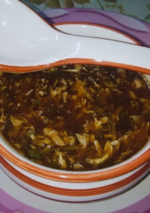 A picture of Chicken manchow soup.