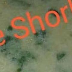 A picture of White shorba soup.