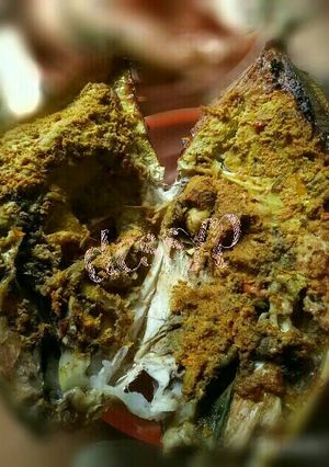 Foto resep Ikan jebong panggang senja