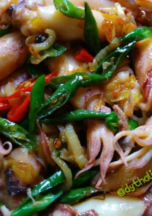 Foto resep Tumis Cumi asin pedas