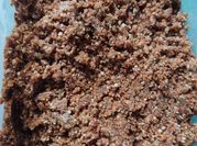 Gambar pecel madiun 1 kg