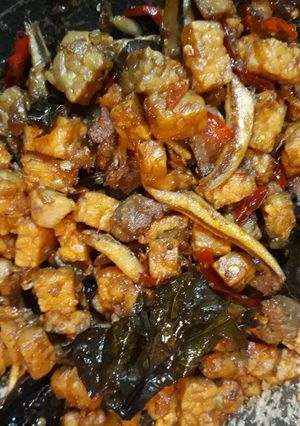 Foto resep Orek Tempe with Teri