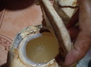 Foto resep Kelapa muda/degan jelly / coconut jelly/ es dekla