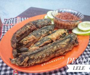 Gampangnya Menyajikan Pecel Lele Yummy Mantul