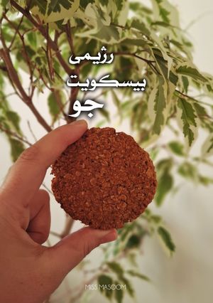 عکسی از دستور بیسکویت رژیمی جو
