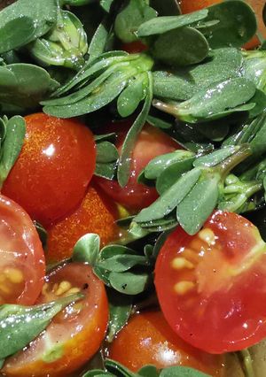 Une photo de Salade de pourpier sauvage et ses tomates cerises
