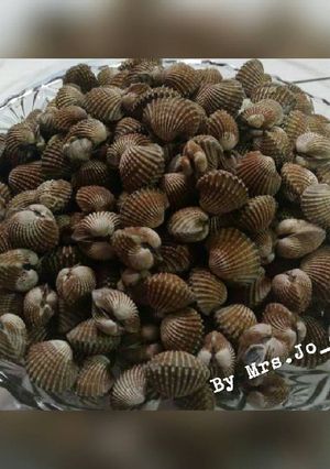Foto resep Kerang Dara rebus
