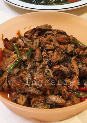 Foto resep Gongso kerang