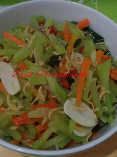 Foto resep Tumis/Oseng Labu Siam Teri Medan