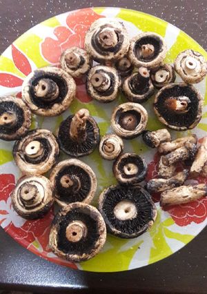 عکسی از دستور قارچ کبابی😋🍄