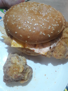 A picture of Zinger burger with fries.