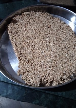 तिल्ली गुड़ की चक्की (tilli gur ki chakki recipe in Hindi) रेसिपी मुख्य फोटो