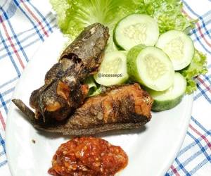 Mudahnya Menyajikan Pecel Lele sambal tomat Yummy Mantul