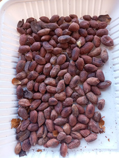 A picture of Njugu karanga.