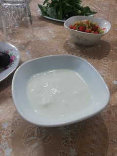 عکسی از دستور ماست خونگی😋
