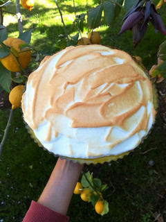 Una foto de Lemon Pie