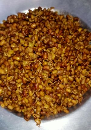 A picture of Sprouts.