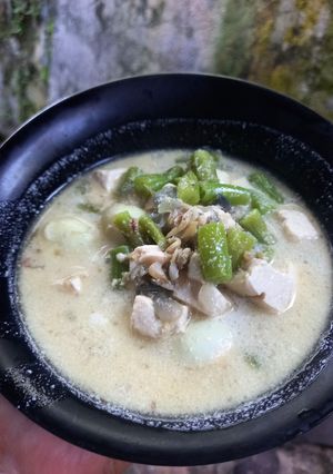 Foto resep Mpasi anak 16 bln Lodeh buncis & teri nasi