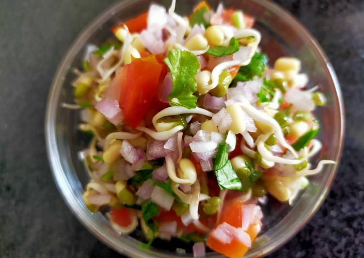Easiest Way to Prepare Favorite Sprout Salad Cooking Basics for Beginners