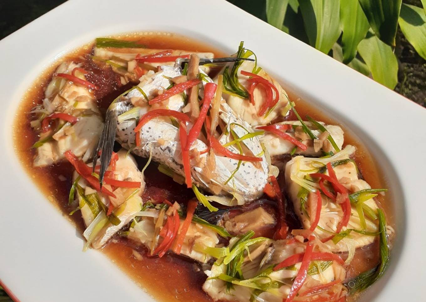 Steam ikan gabus ala hongkong (menu busui #17)