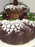 Pastel de chocolate y frutos rojos