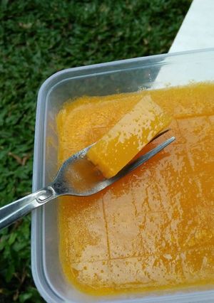 Foto resep Agar-agar Puree Mangga