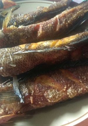 Foto resep Ikan kutuk goreng gurih
