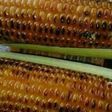 Roasted maize
