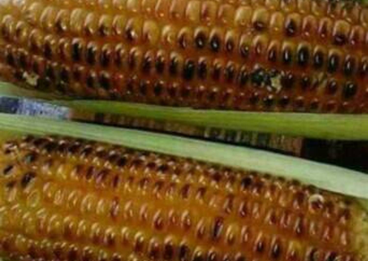 Roasted maize Recipe by Paula Netta - Cookpad
