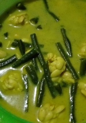 Foto resep Lodeh tempe+kacang panjang