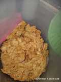 Peyek udang kecil