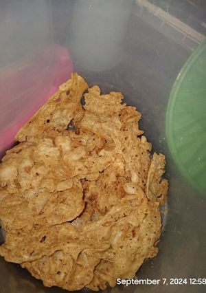 Foto resep Peyek udang kecil