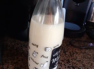 Una foto de Leche de Alpiste para Adelgazar