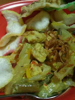 Foto resep Sayur lodeh labu siam