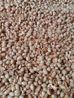 Foto resep Kacang Bawang Renyah Dan Empuk Tanpa Santan