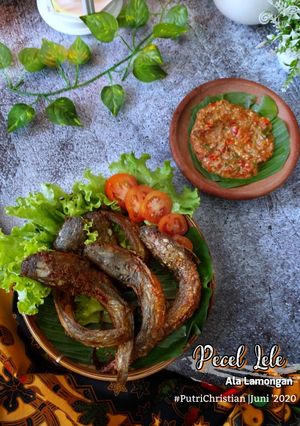 Foto resep Pecel lele ala lamongan