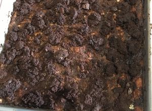 Una foto de Pudín de Pan de Bizcocho de Chocolate