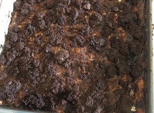Una foto de Pudín de Pan de Bizcocho de Chocolate
