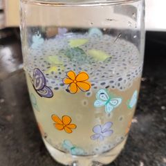 A picture of Chia lemon cooler.
