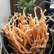 Jamur Enoki Crispy