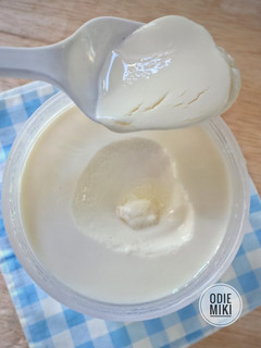 Foto resep Homemade Plain Yogurt