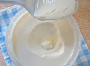Foto resep Homemade Plain Yogurt