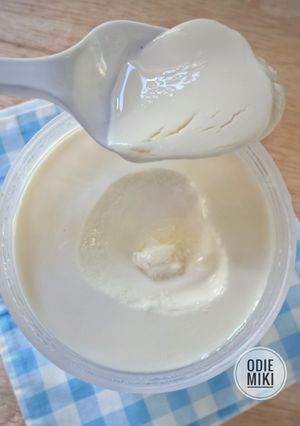 Foto resep Homemade Plain Yogurt