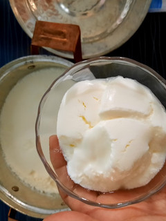 عکسی از دستور ماست خونگی