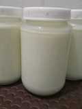 Yogurt susu 2 bahan