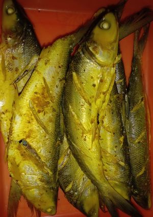 Foto resep Bandeng ukep