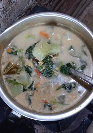 Foto resep Sayur bayam & labu air santan