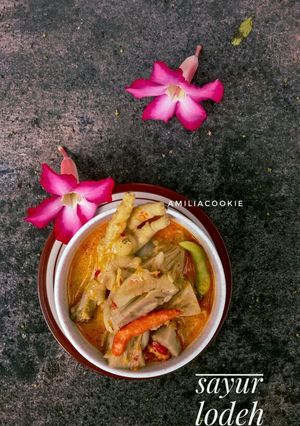 Foto resep Sayur Lodeh Nangka Muda