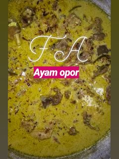 Foto resep Ayam opor bumbu instan